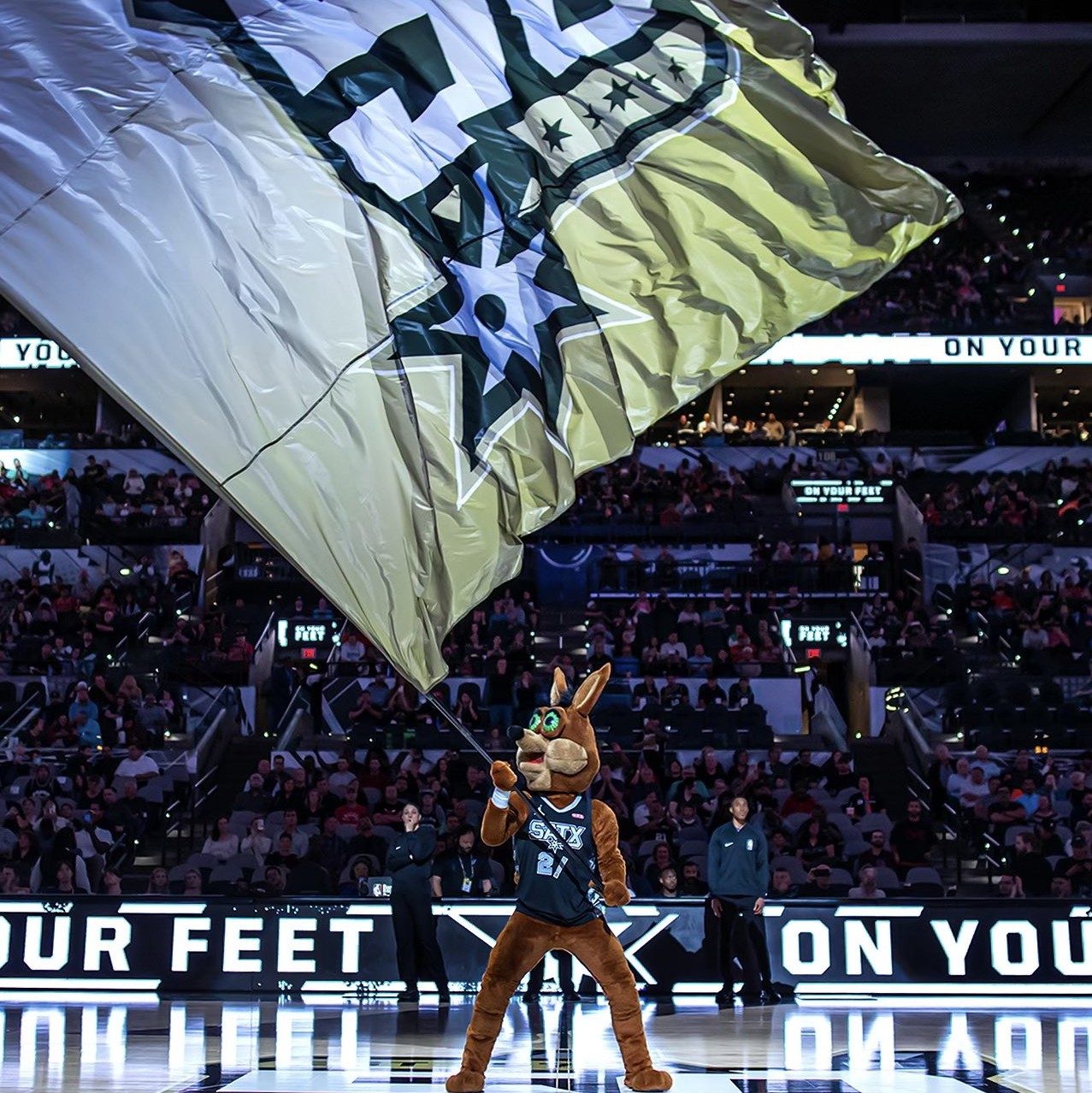 者能更直观 者能更直观